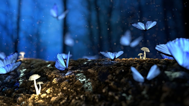 Magical soundscapes